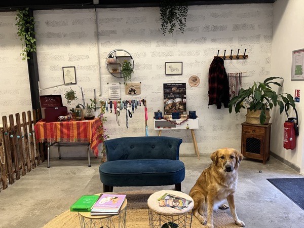 Point de collecte dons