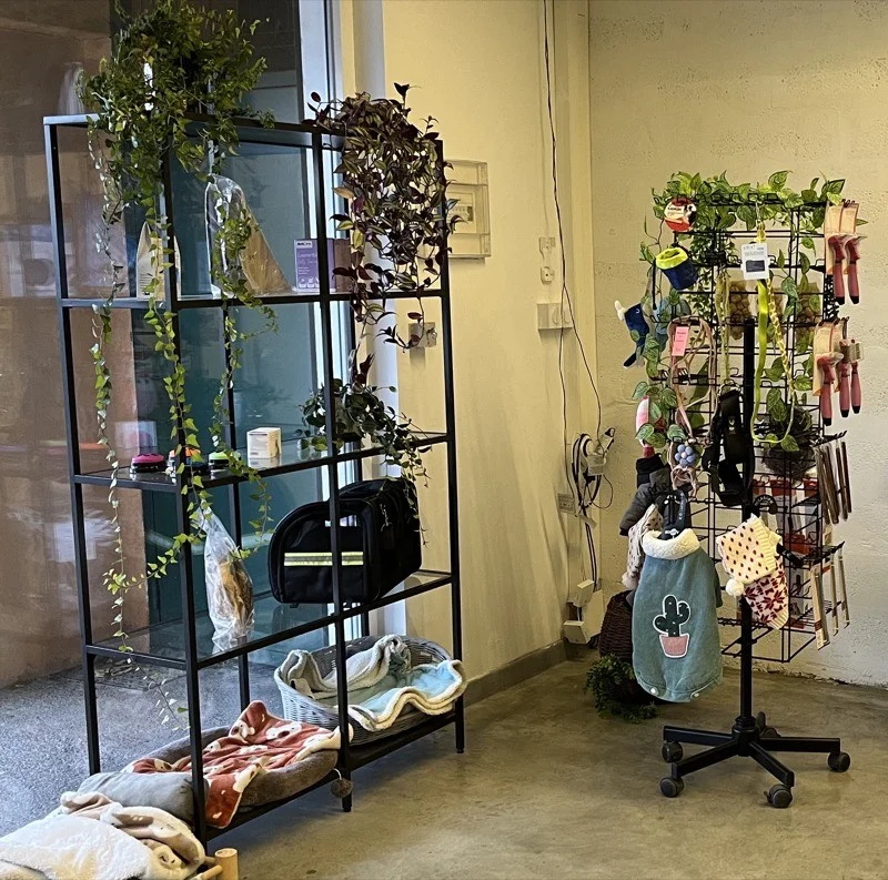 Accessoires pour animaux